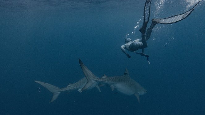 The Sharks of Headstone Hell - Kuvat elokuvasta