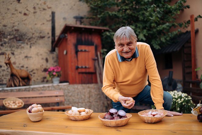 Boží dar - příběhy českých potravin - Cibule - Filmfotók