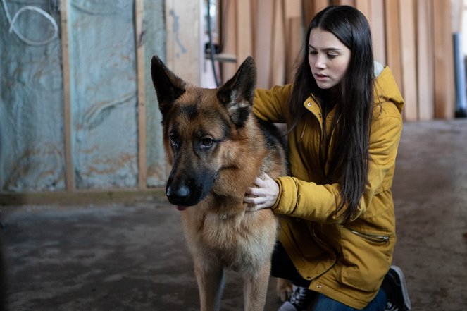 Rex Kanadában - A vadászat - Filmfotók - Diesel vom Burgimwald a kutya, Erika Swayze