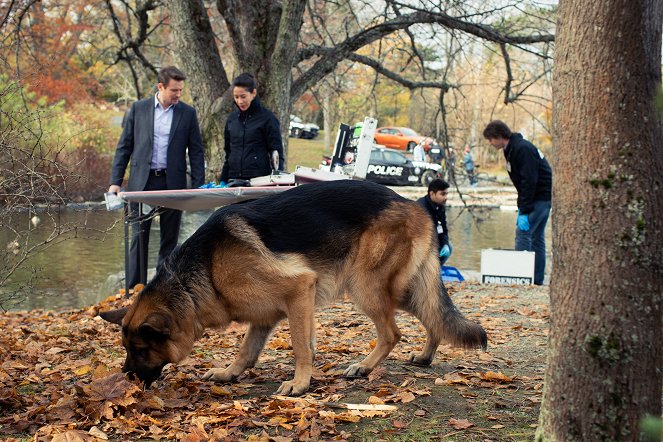 Hudson & Rex - Mord im Park - Filmfotos - John Reardon, Mayko Nguyen, Hund Diesel vom Burgimwald