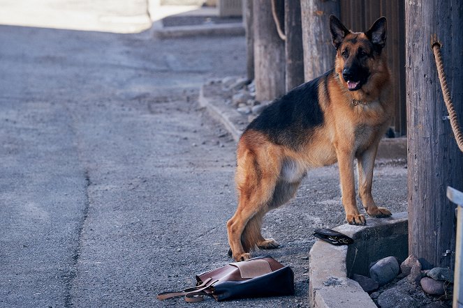 Rex Kanadában - Season 2 - Véres gyémántok - Filmfotók - Diesel vom Burgimwald a kutya
