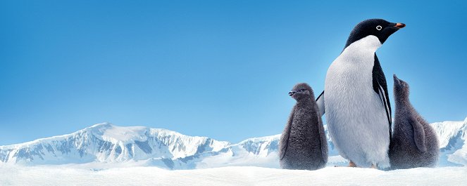 Penguins - Werbefoto