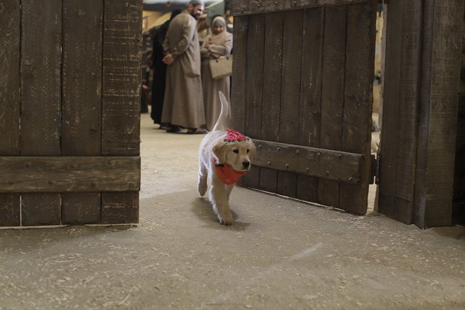 Treasure Buddies - Die Schatzschnüffler in Ägypten - Filmfotos