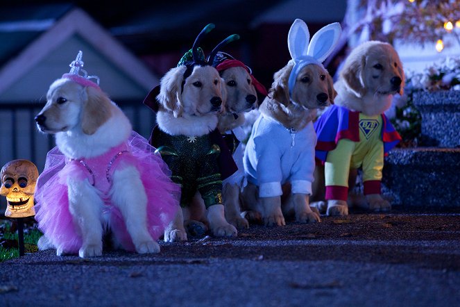 Les Copains et la légende du chien maudit - Film