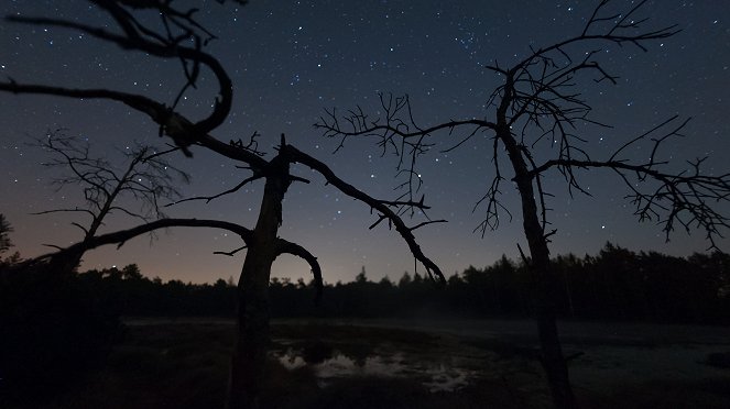 Secrets of the Night - Photos