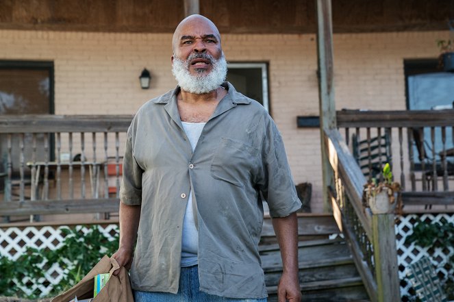 Queen Sugar - Season 4 - Here - Film - David Alan Grier