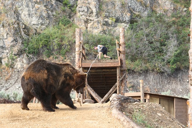 Man vs. Bear - Do filme