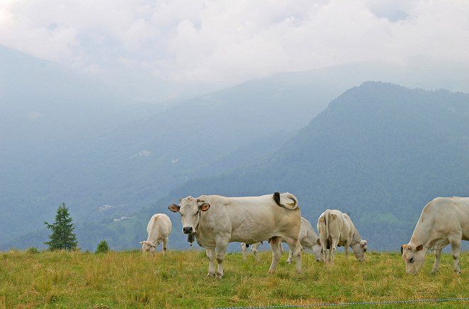 Alpesi falvak lakói - Új élet Ostanában - Filmfotók