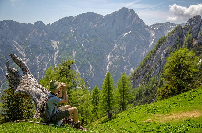 Alpendörfer - Slowenien/Österreich: Grenzenloses Miteinander - Z filmu