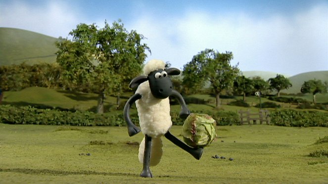 Shaun, a bárány - Season 1 - Káposztafoci - Filmfotók