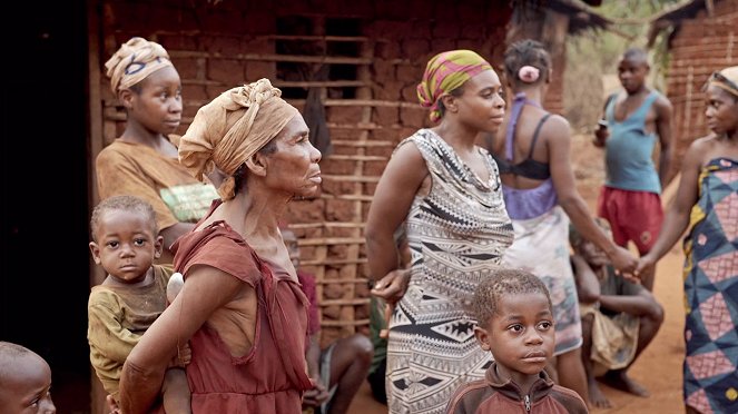 Pomáháme jim přežít - Toulavý autobus v Kamerunu - Photos