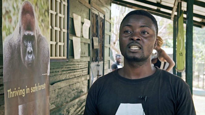 Pomáháme jim přežít - Toulavý autobus v Kamerunu - Do filme