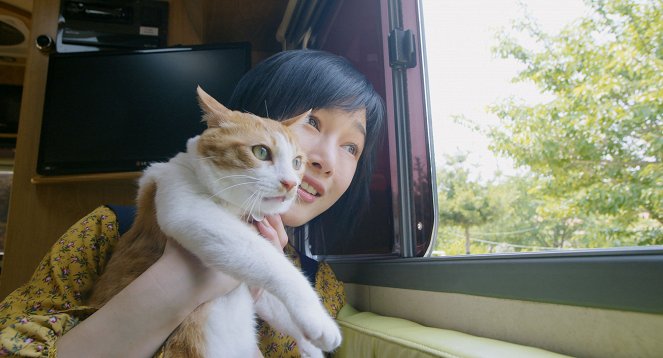 The Journey of the 12 Cats - Photos - Sunwoo Sun