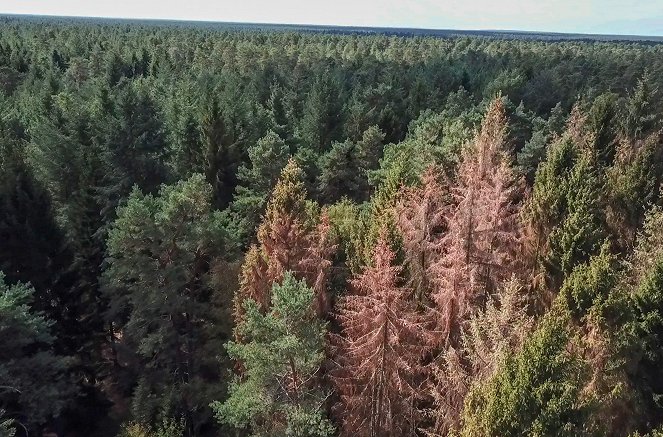 Die Waldretter - Kampf gegen den Klimawandel - Filmfotos
