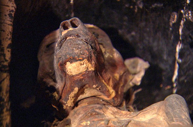 Mumifikált kutyák az ókori Egyiptomból - Filmfotók
