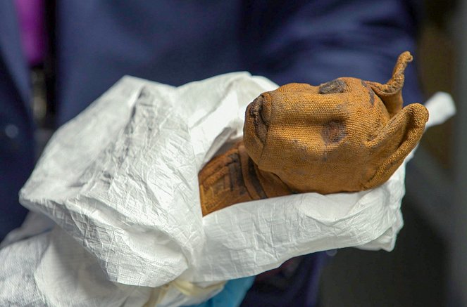 Tajemnice starożytnego Egiptu: Mumie psów - Z filmu