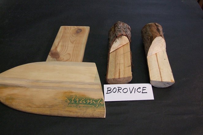 Kus dřeva ze stromu - Borovice - Filmfotók