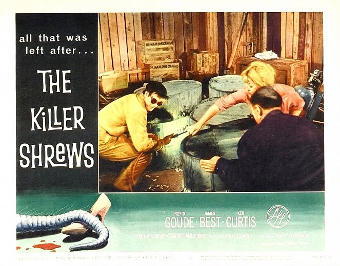 The Killer Shrews - Lobbykaarten