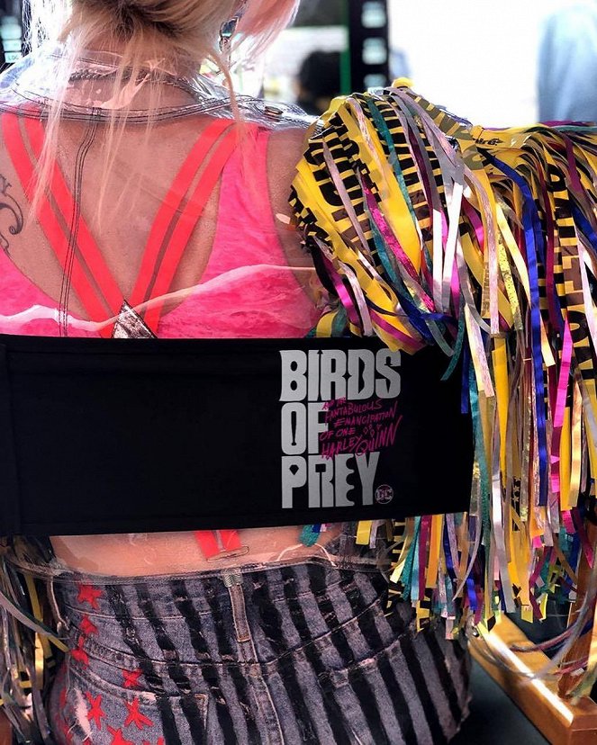 Birds of Prey (Podivuhodná proměna Harley Quinn) - Z natáčení