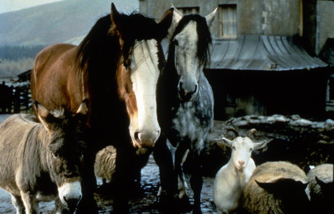 Animal Farm - Kuvat elokuvasta