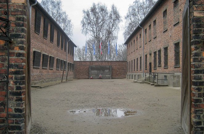 Made in Auschwitz: HaNashim shel Block 10 - De la película