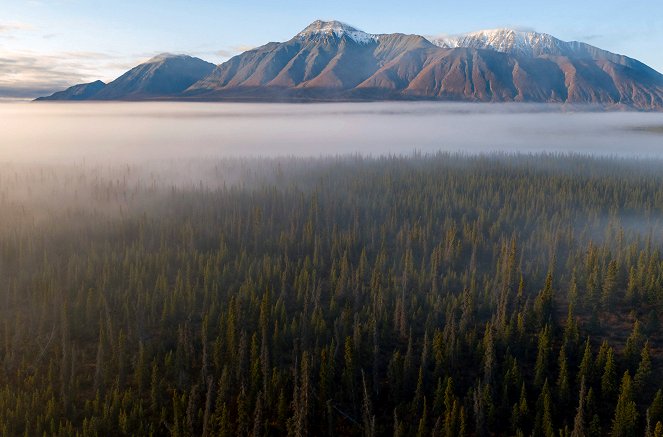 Die Wälder des Nordens - Filmfotók