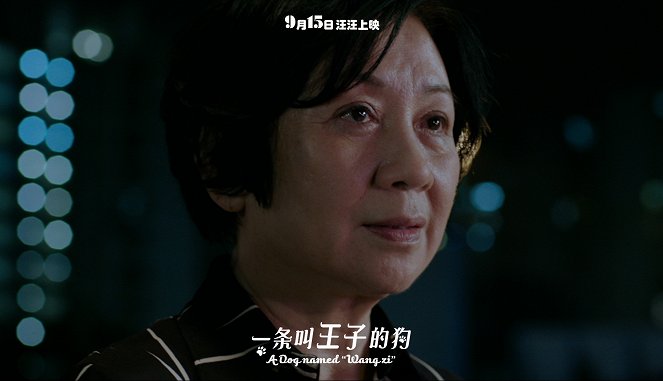 Yi tiao jiao wang zi de gou - Lobbykarten - Nina Paw