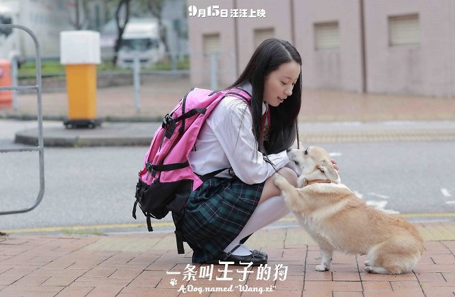 A Dog Named Wang Zi - Lobby Cards