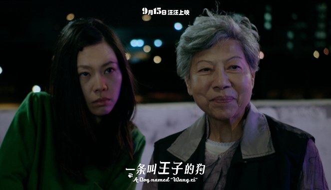 Yi tiao jiao wang zi de gou - Lobbykarten - Helena Law