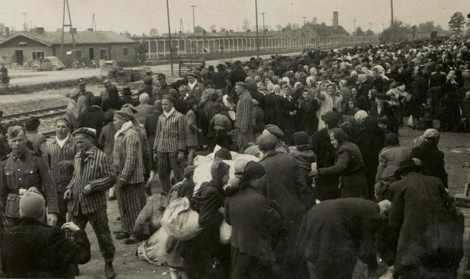 Ein Tag in Auschwitz - Do filme