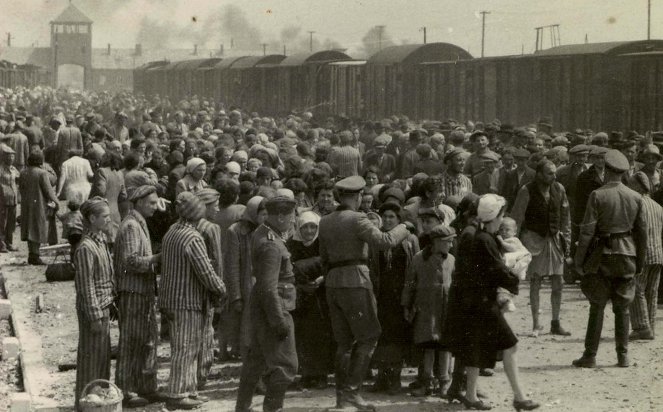 Ein Tag in Auschwitz - Filmfotos