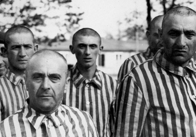 Ein Tag in Auschwitz - Z filmu