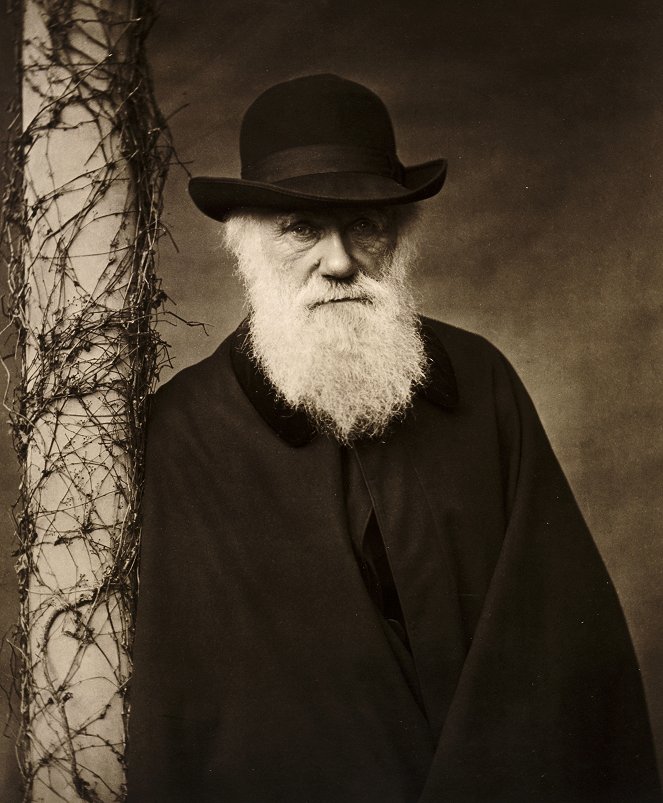 Darwin és a kételyek - Filmfotók