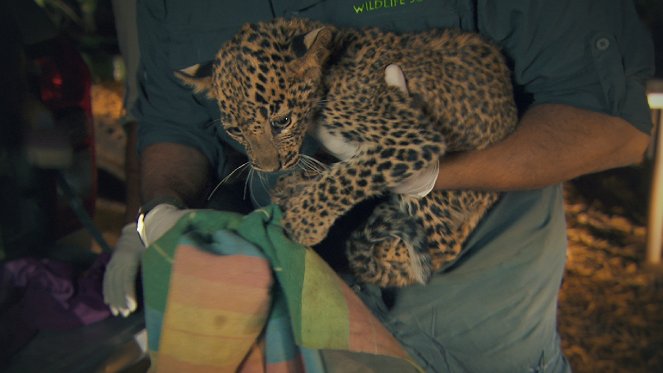Záchrana zvířat z džungle - Z filmu