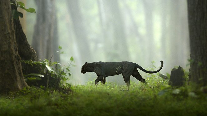 Aufstieg des schwarzen Panthers - Filmfotos