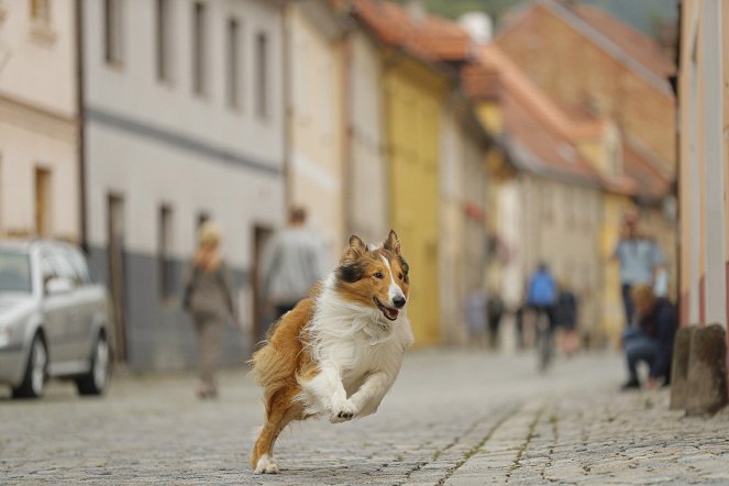 Lassie palaa kotiin - Kuvat elokuvasta