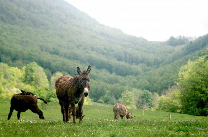 Slowakische Nationalparks - Kuvat elokuvasta