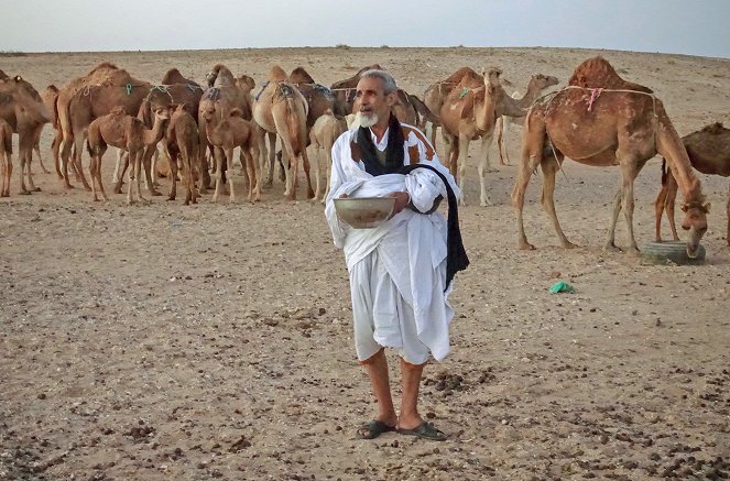 Männer der Wüste - Mit Kamelhirten durch die Sahara - Filmfotos