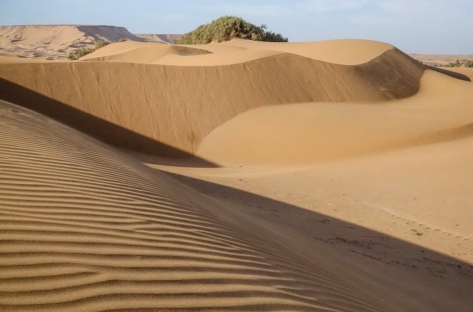 Männer der Wüste - Mit Kamelhirten durch die Sahara - Photos