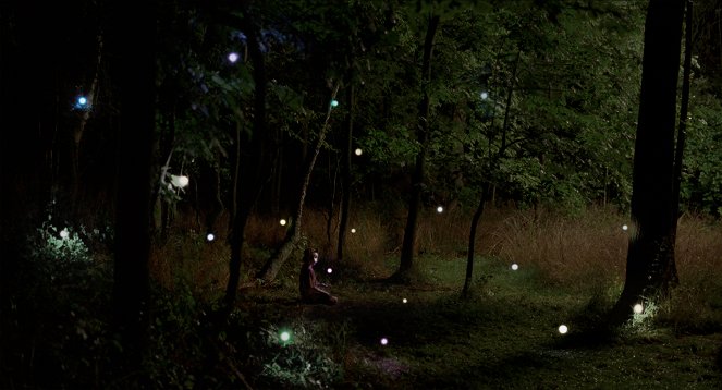Lira's Forest - Do filme