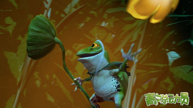 The Adventure of Frog - Fotocromos