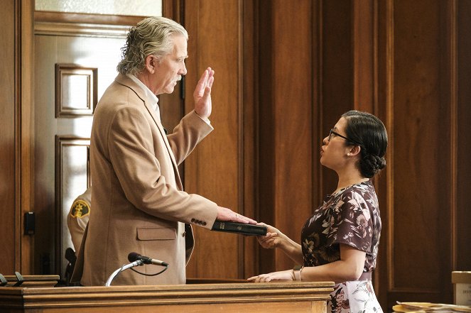 All Rise - Season 1 - What the Constitution Greens to Me - Photos - Ruthie Ann Miles