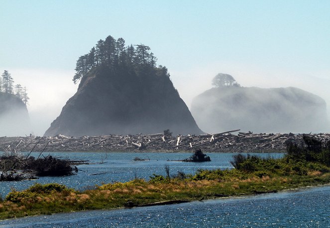 Amerikas Fjorde - Unter Schwertwalen und Schwarzbären - Filmfotók