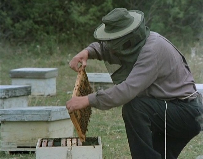 Včelař - Z filmu