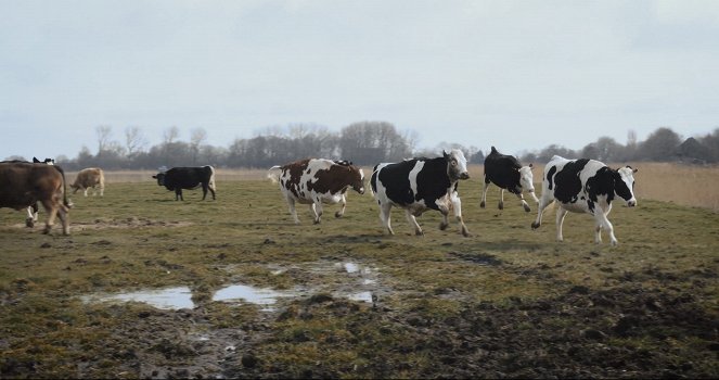 Butenland - Filmfotók