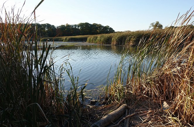 Nationalparks der Zukunft - Toronto - Kuvat elokuvasta