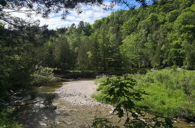 Nationalparks der Zukunft - Toronto - Z filmu