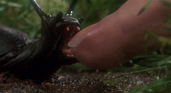 Slugs, muerte viscosa - De la película