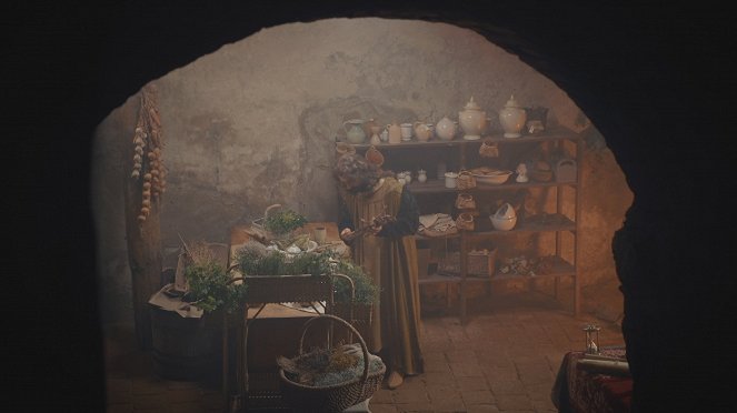 České tajemno - Voynichův rukopis - De la película