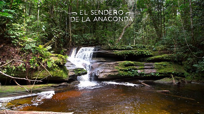 El sendero de la anaconda - Fotocromos
